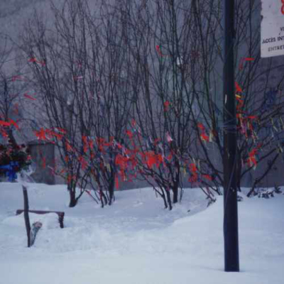 Rubans rouges au Parc de l’Espoir pour commémorer les personnes décédées du sida. 1er décembre 2004. Angle rue Sainte-Catherine E et rue Panet. Crédit photo : René Leboeuf. Fonds Michael Hendricks-René Leboeuf. Collection des Archives gaies du Québec.